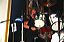 r.o.f_2309_02062